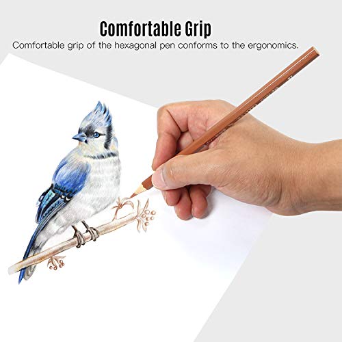 Loijon Conjunto Profissional com 72 Lápis de Cor