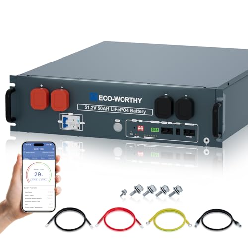 ECO-WORTHY 48V 50Ah LiFePO4 Server Rack Battery, 3U Rack-Mount Lithium Battery with Bluetooth...