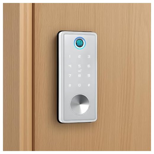 Tranca Eletrônica sem Maçaneta com Wifi Tuya Aplicativo Celular Biométrica Digital Senhas Cartão TAG Preta e Prata (Prata)