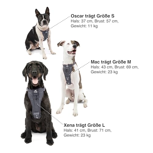 Kurgo TRU-Fit Hundegeschirr, Crash-Test-erprobtes Auto-Sicherheitsgurt, Für Hunde von 2 bis 5 kg, Größe XL, Grau