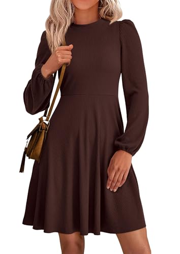 PRETTYGARDEN Womens Long Sleeve Mini Dress 2025 Fall Trendy Crewneck