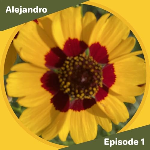 Alejandro