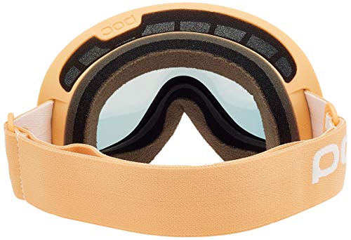 POC Retina Big, Occhiali da Sci. Unisex Adulto