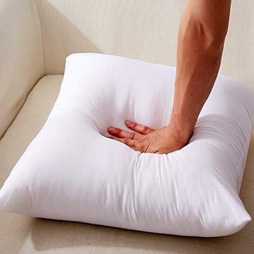 EGYPTO Set of 4 24" x 24" Hypoallergenic Cushion Pad Stuffer Pillow Insert Sham Square Polyester, White (Pack of 4 | 24" x 24")