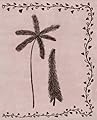 Psalm 92 palm and cedar Tree with a wild chrysanthemum