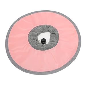 Yctze Katzen-Genesungshalsband Elisabethanisches Halsband (L)