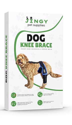 Image of Dog Knee Brace Premium & Adjustable for Torn ACL, Arthiritis, Post Surgery Care, Joint Issues, Reduce Pain, Provides Mobility & Supports Dogs Active Lifestyles (Small)