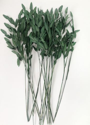Ramo de Hierba Ornamental Preservada de 18 Pulgadas miniatura 7