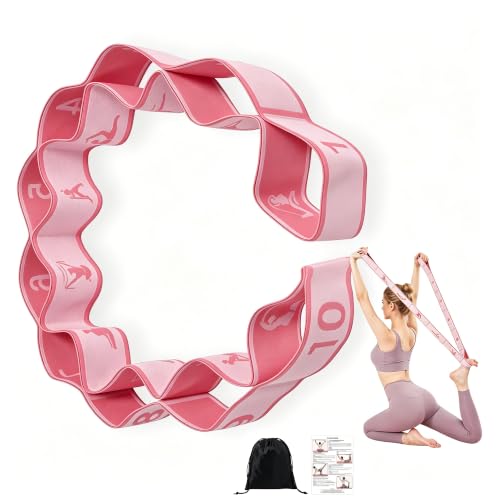 Fitness Exercise Bands with 10 Loops Number Stretch Resistance Bands with Clear Markings Elastic Stretching Strap for Yoga Pilates Dance Leg Training Home Gym Workout Accessory for Men or Women-Pink