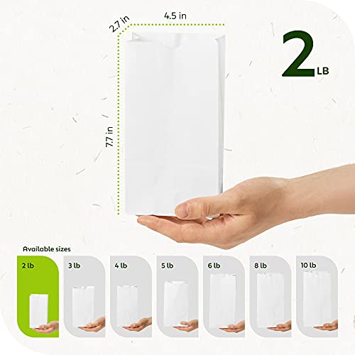 Paper Snack Bags, Durable White Paper Bags, 2 Lb Capacity, White, Pack Of 500 Bags #TOP5