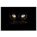 ChezMax Black Cat Eyes Non-Slip Doormat Coral Fleece Indoor Outdoor Kitchen Floor Rug Front Door Mat Funny Flannel Carpet 16 X 23 Inches