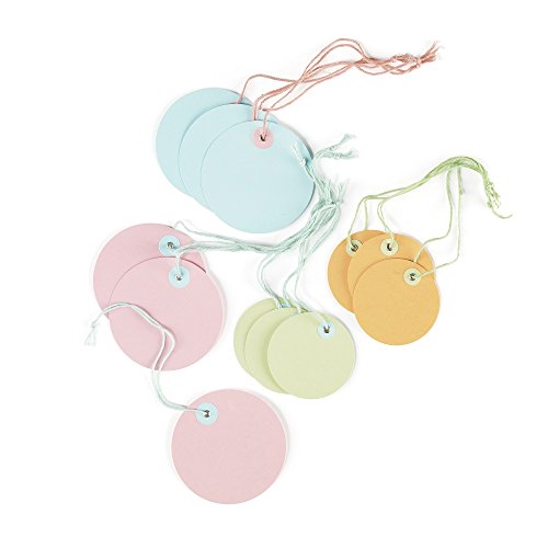 Martha Stewart Crafts EK Success Modern Festive Colored Tags