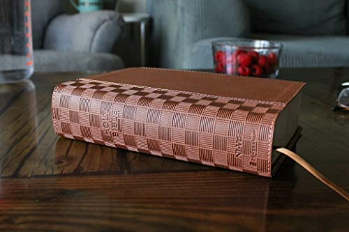 NIrV, Giant Print Compact Bible, Leathersoft, Brown, Comfort Print: New International Reader's Vers