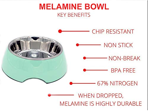 Image of The Pets Company Stainless Steel & Melamine Dog Feeding Bowl| Food Bowl for Dogs and Cats, 940 Ml, Large, Mint Green