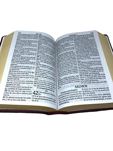 Santa Biblia reina valera trad. RVT ‐ letra súper gigante 1664 cuero artificial ‐ vino