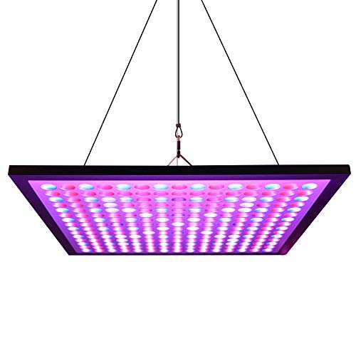 Preisvergleich Produktbild Northpoint LED Pflanzenleuchte Grow-Panel 36W Vollspektrum 225 LED