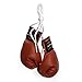 Pro Impact Mini Boxing Gloves - Miniature Punching Gloves - Hanging Decoration or Souvenir Display - for Home & Car Use - 1 Pair (Red)