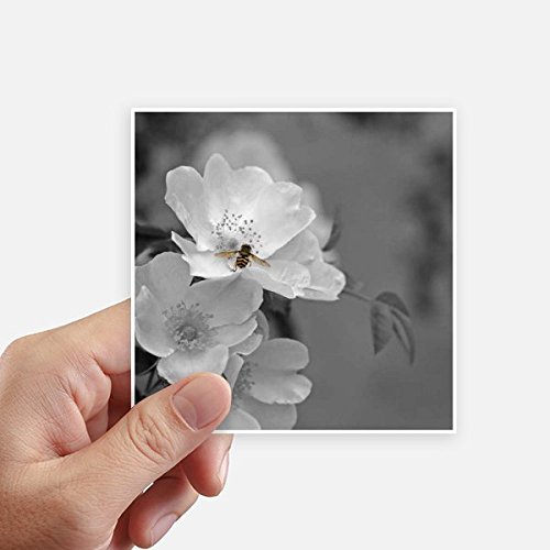 Autocollant carré fleurs 10cm de type sticker mural et sticker pc - 2