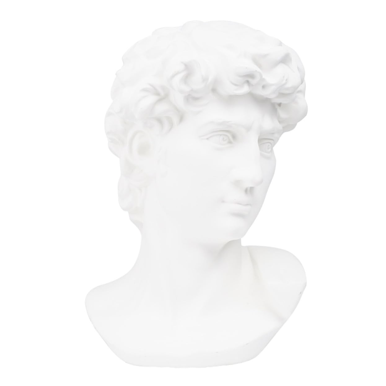 Gatuida Buste de David en Résine Blanche – Statue Tête David Classique – Sculpture Décorative et Outil Pédagogique pour Dessin et Décoration Intérieure Maison Bureau