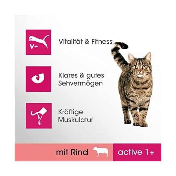 Adult 1+ Katzentrockenfutter reich an Huhn – Bild 4
