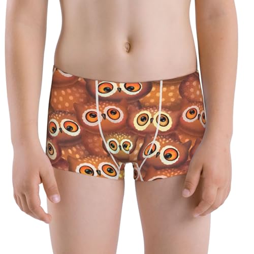 Boys' Cotton Boxer Brief Soft Underwear-Brown Owl