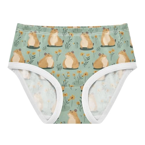 Girls Underwear Soft Cotton Capybaras Kids Panties in Sizes 2/3t, 4t, 5t, 6 and 8 - Main Image