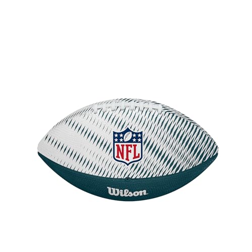 Image of WILSON Unisex NFL Team Tailgate Footballs