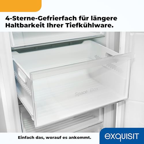 Exquisit Gefrierschrank, Tiefkühlschrank, 380 Liter, NoFrost, Kühlfunktion, Schnellgefrieren, Schnellkühlen, Alarm-Funktion, 4-Sterne-Gefrierfach, Gefrierschrank NoFrost groß, GS380-NF-H-050E inoxlook