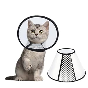 Dhjwdux Halskrause Katze Schutzkragen DHJ2405