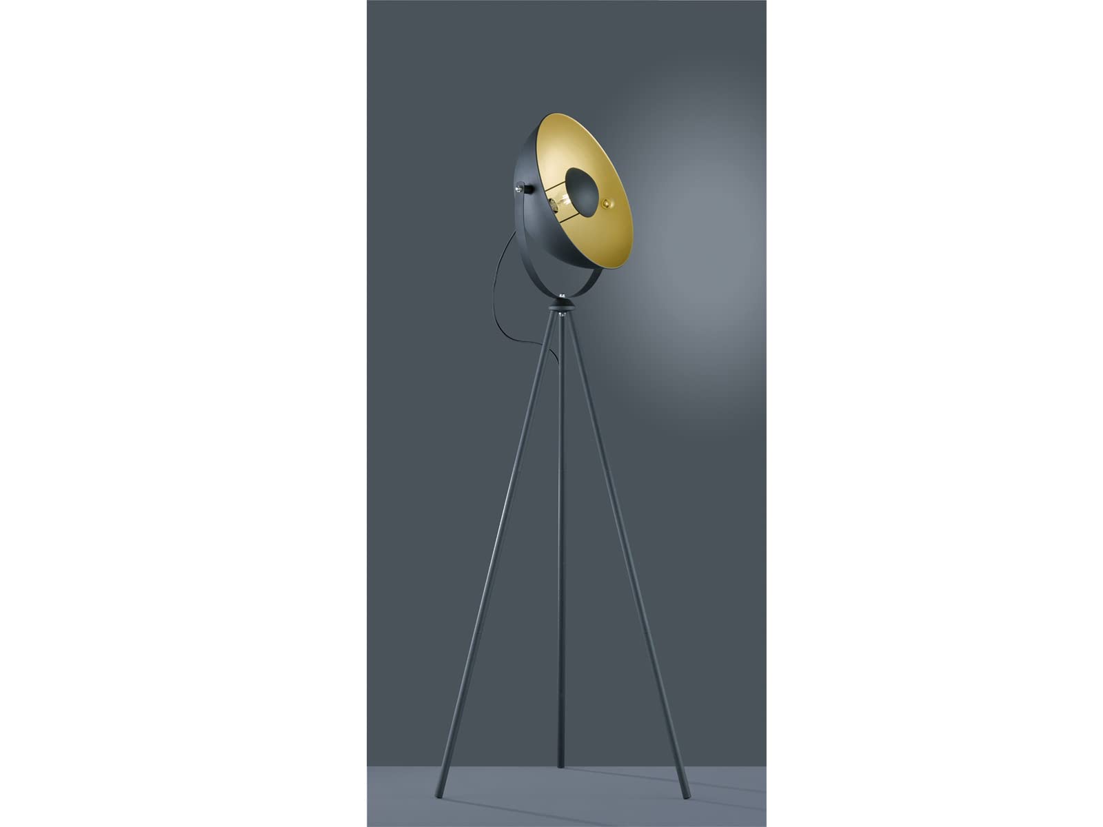 Reality Leuchten Chewy R40181032 Stehleuchte, Metall, Schwarz Matt