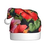Design élégant : le bonnet de Père Noël WHJSHOP dispose de motifs imprimés pour libérer votre esprit de vacances et ajouter une touche d'élégance sexy à votre tenue de vacances. Améliorez votre style de Noël et montrez-le à chaque fête de vacances,