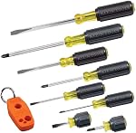 Klein Tools 85148 Screwdriver Set with Magnetizer/Demagnetizer for Magnetic Tips, Flathead and Phillips, Home Improvement, 9-Piece