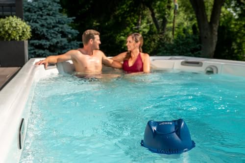 swim spa smart 1026