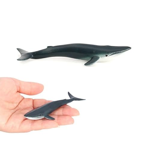 zalati Figura di balena blu statua animale marino mini statua modello marino per bambini dai 5 anni in su giocattoli educativi decorazione acquario