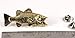 Largemouth Bass Pin, Gold Plated, 1.75 Inches, 100% Handmade in the USA, Fish, Fishing, Realistic, Metal, Lapel, Hat, Brooch, Gift, Jewlery, Over 3100 Unique Designs