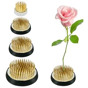 Lovesmile 4 Stück Kenzan Blumenigel Set