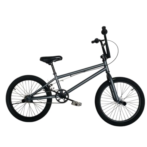 Dazzix�t���[�X�^�C��BMX�o�C�N�i���S�҂���㋉�Ҍ����j ���Y�f�|�t���[���A�A���~�j�E������U���^���A�u���[�L�����20�C���`�z�C�[���t�� ���F�W�J �A�W���j�A���K�p �ϗp�̍��Y�f�|�t���[�� (�O���[,20�C���`)
