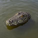 Benhurb Alligator Head for Pond Protection, Fake Floating Crocodile Head Decoy for Pool, Garden Water Feature Ornament Deterrent Ducks Koi Fish Pond Accessories, Outdoor Gator Decoration