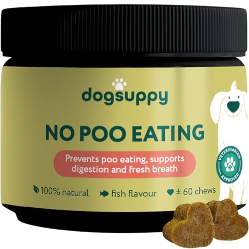 DogSuppy No Poo Eating Chews for Dogs – Helps Stop Dog Eating Poo, Supports Gut Health & Digestion, Fresher Breath, 100% Natural Ingredients, Coprophagia, Stool Eating Deterrent, Fish Flavour