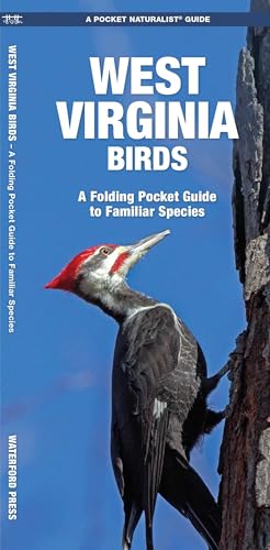 West Virginia Birds: A Folding Pocket Guide to Familiar Species (Wildlife and Nature Identification)