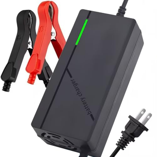 24V Lithium Battery Charger, 29.2V 5A LifePO4 Battery Charger, Trickle Charger, Battery Maintainer, with Cooling Fan Multiple Protection Functions, Designed for 24V LiFePO4 Rechargeable Batteries