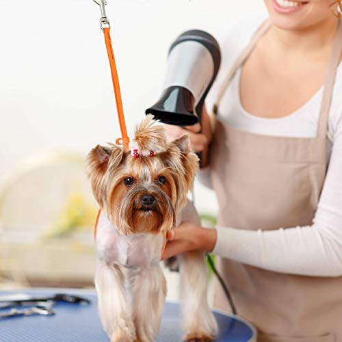 Jelly Pet Grooming Loop For Dogs | Fits Most Pet Grooming Tubs And Tables | Easy To Clean, & Waterproof Noose Loop | Stronger Than Leather | Made In The Usa | 6-Pack #TOP3