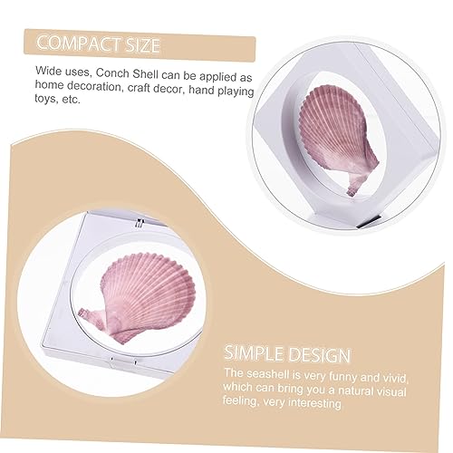 Conchas naturales decorativas para centros de mesa y adornos de hogar estilo costero mediterráneo 4