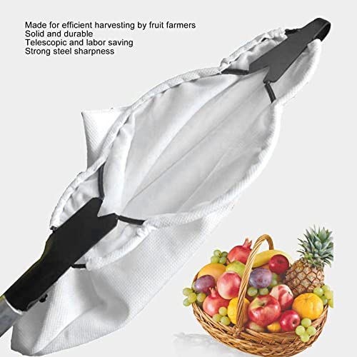 Haofy Obstpflücker-Werkzeugkopf, Erntekorb, Große Elastische Tasche, Leichte V-förmige Klingen, Früchte für Avocado, Eichel, Zitrone, Birne, Mango, Baumpflücker