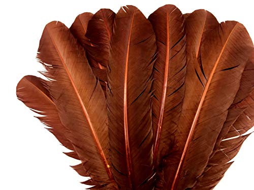 1/4 Lb - Brown Turkey Tom Rounds Secondary Wing Quill Right Facing Wholesale Feathers (Bulk) Halloween Wedding Craft Supply | Moonlight Feather #TOP5