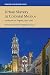 Urban Slavery in Colonial Mexico: Puebla de los &Atilde;ngeles, 1531-1706 (Cambridge Latin American Studies)