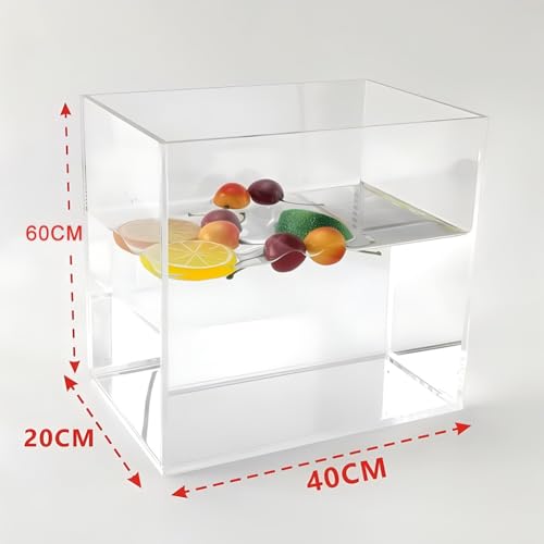 Accessoires de pose de photo sur plateau acrylique portable et transparent