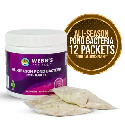 Webb's Water Gardens Całoroczne bakterie stawowe z paczkami jęczmienia – nośność do 2000 galonów – 12 opakowań dla łatwego nakładania – 2,3 kg – idealne do oczyszczania wody w stawie i utrzymania
