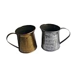 Secchio per fiori giardino desktop: può resistere alla forte luce solare e alle rigide temperature invernali.