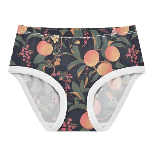 Wusikd Peaches Leaves Girls' Underwear Cotton Flower Girls Briefs Soft Toddler Underwear 2T